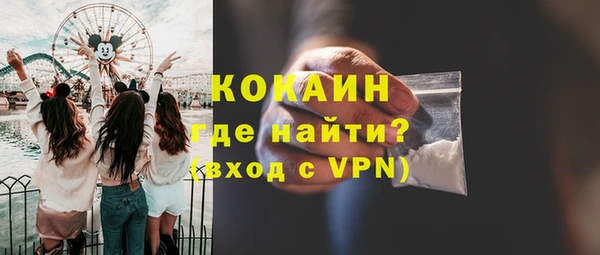 ПСИЛОЦИБИНОВЫЕ ГРИБЫ Богданович