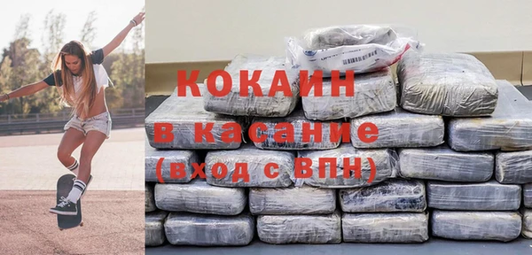 ПСИЛОЦИБИНОВЫЕ ГРИБЫ Богданович