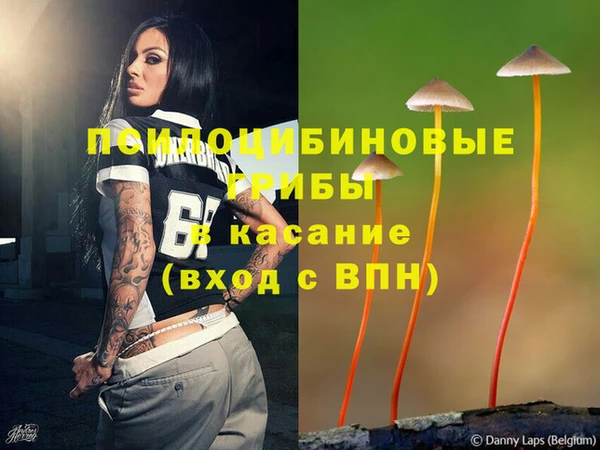 ALPHA PVP Строитель