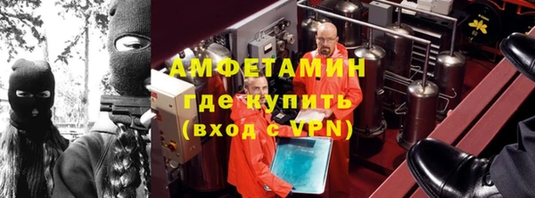 ПСИЛОЦИБИНОВЫЕ ГРИБЫ Богданович