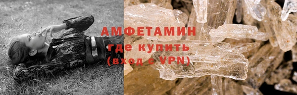 ПСИЛОЦИБИНОВЫЕ ГРИБЫ Богданович