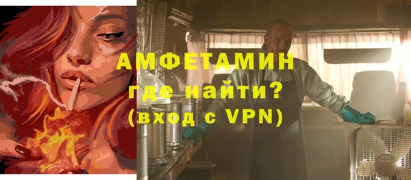 ПСИЛОЦИБИНОВЫЕ ГРИБЫ Богданович